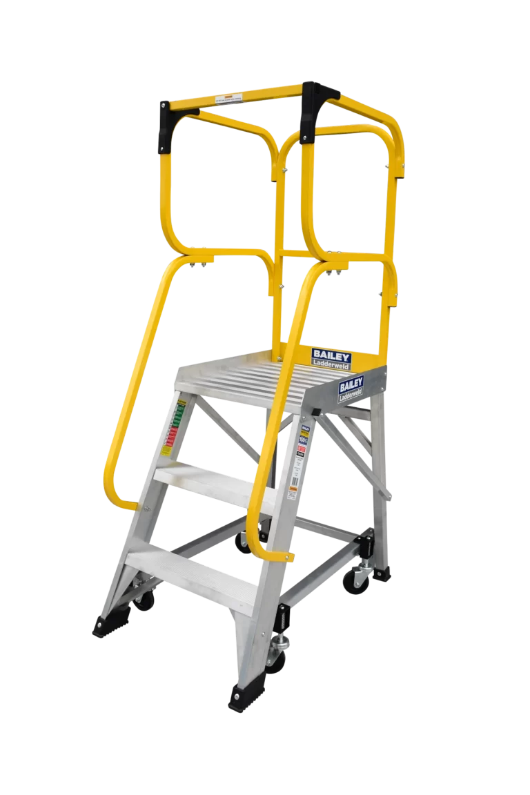 Mobile Order Picking Ladder